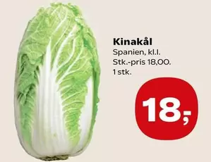 Kinakål