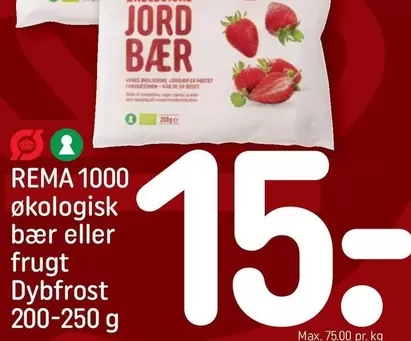 økologisk bær eller frugt