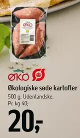 Økologiske søde kartofler