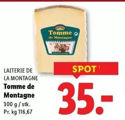 Tomme de Montagne