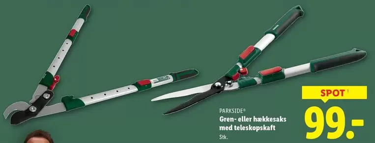 Gren- eller hækkesaks med teleskopskaft