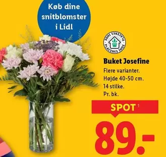 Dine - Buket Josefine