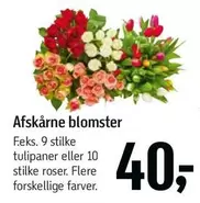 Roser - Afskårne blomster