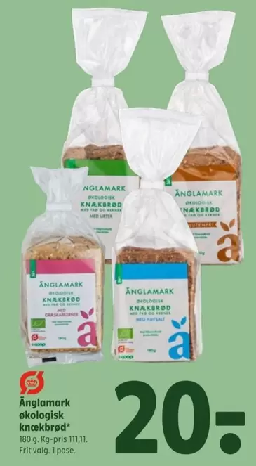økologisk knækbrød