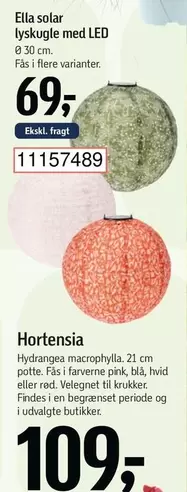 Hortensia - Ella solar lyskugle med LED