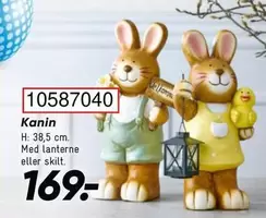 10587040 Kanin