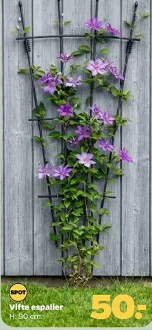 Vifte espalier