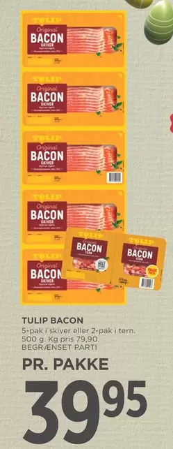 TULIP BACON