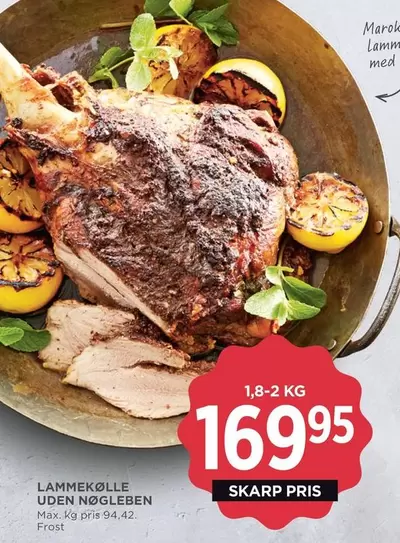 LAMMEKØLLE UDEN NØGLEBEN