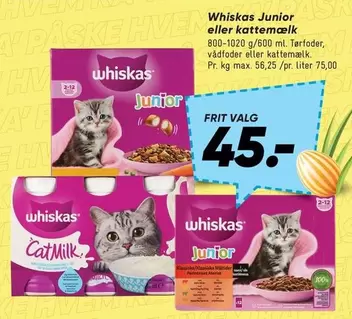 Junior eller kattemælk