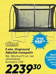 Onground 366x244 trampoline