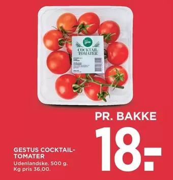 Gestus Cocktail Tomater