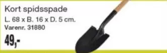 Kort -  spidsspade