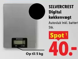 Digital kitchen scale