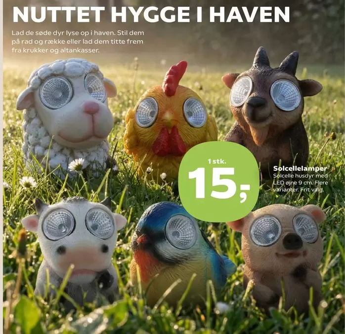 NUTTET HYGGE I HAVEN