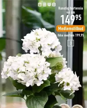 Hortensia - Kunstig hortensia