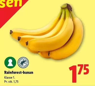 Rainforest-banan