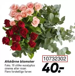 Roser - Afskårne blomster 10732302