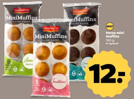 MiniMuffins Fairy Cakes