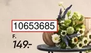 10653685