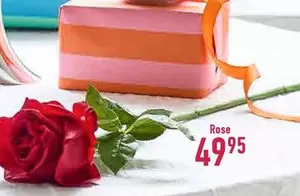 Rose -