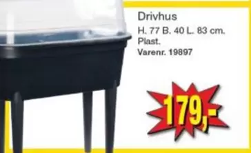 Drivhus