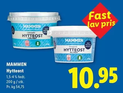 Hyteost