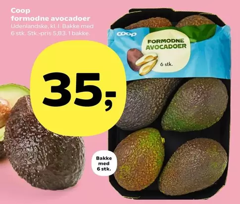 Formodnede avocadoer