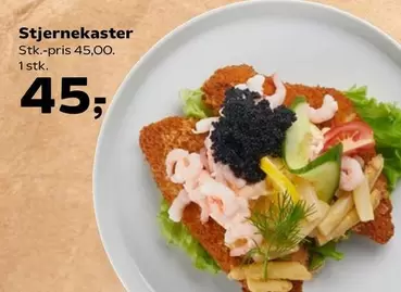 Stjernekaster