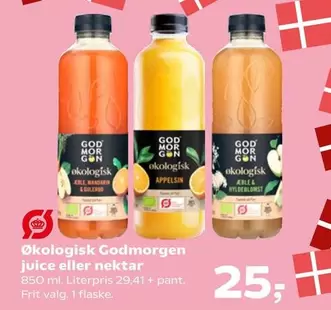 Økologisk Godmorgen juice eller nektar