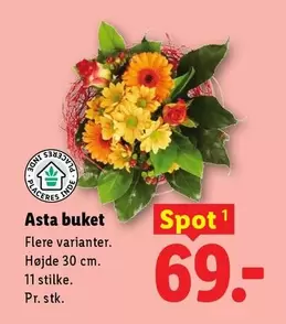 Asta buket