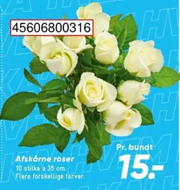 Roser - Afskårne roser 45606800316