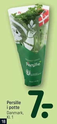 Persille i potte