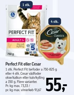 Perfect Fit eller Cesar
