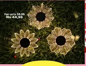 Decorative Lights