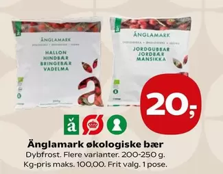 Økologiske bær
