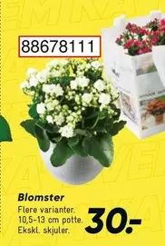Blomster 88678111