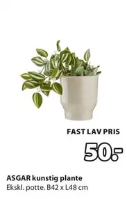 ASGAR kunstig plante