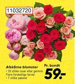 Roser - Afskårne blomster 11032720