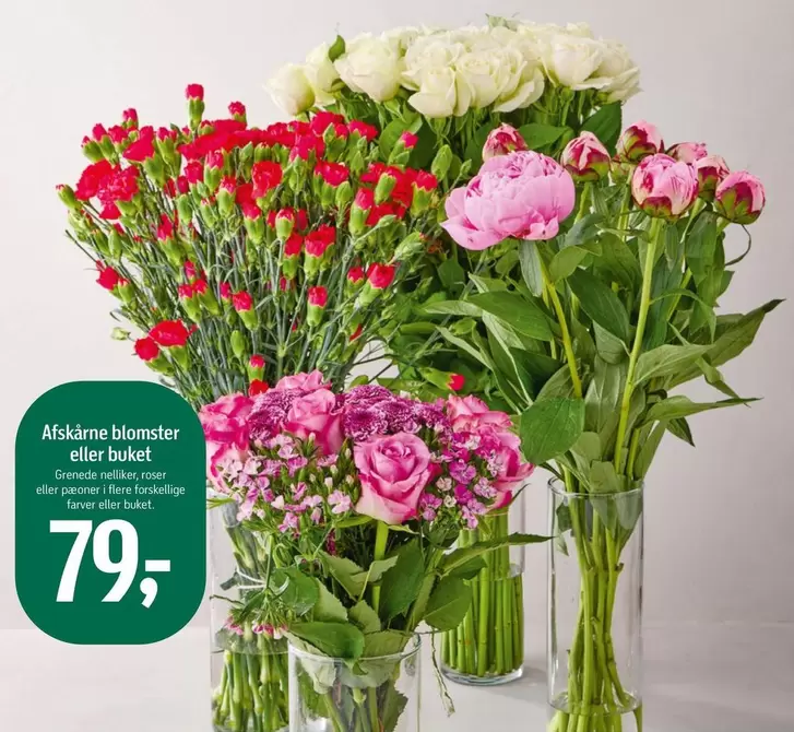 Roser - Afskårne blomster eller buket
