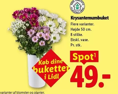 Dine - Krysantemumbuket