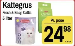Easy - Kattegrus