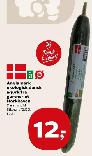 økologisk dansk agurk