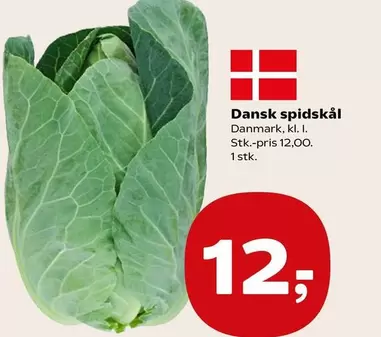Dansk spidskål