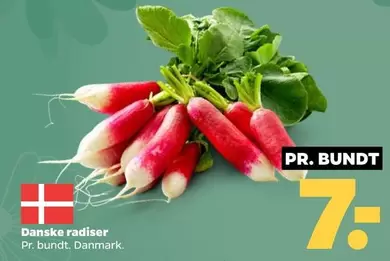 Danske radiser