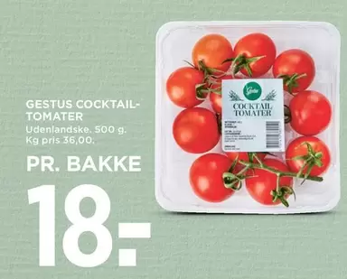 GESTUS COCKTAIL-TOMATER