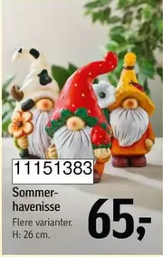 Sommer-havenisse 11151383