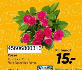 Roser -  456068003683