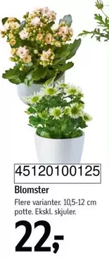 Blomster 45120100125