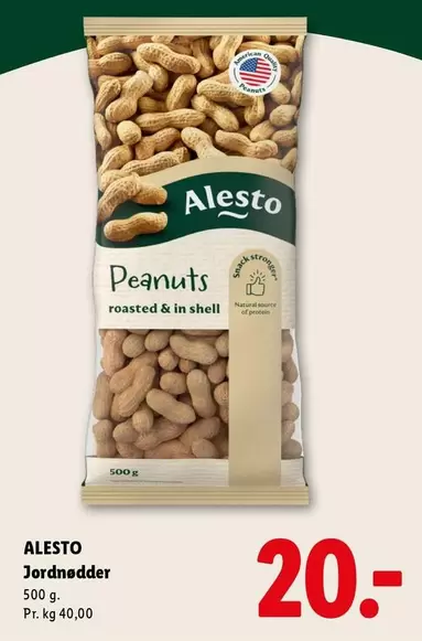 Shell - Peanuts roasted & in shell